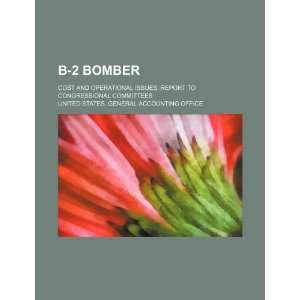  B 2 bomber cost and operational issues report to 