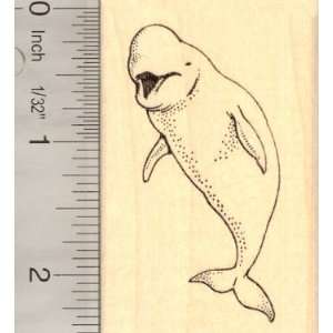  Beluga Whale Rubber Stamp, Marine Wildlife: Arts, Crafts 