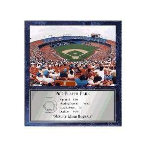  Pro Player Park (Florida Marlins) 12 x 15 Plaque with 8 