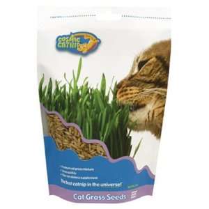  Cosmic Catnip Kitty Herbs (Quantity of 4)