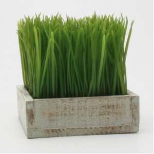  Faux Square Potted Wheat Grass By Tag