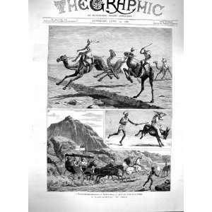    1880 Camel Racing Aden Sport Bedouin Doneys Natives