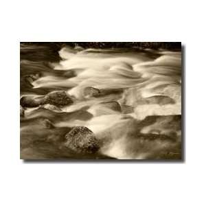  Sepia Waters V Giclee Print: Home & Kitchen