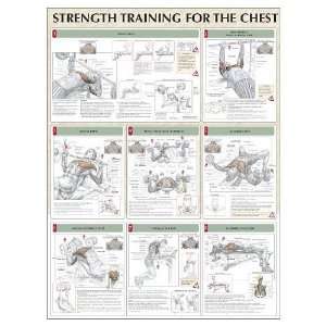  Strength Training For The Chest Poster (Poster) Sports 