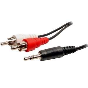   Mini to 2 RCA Male Audio Y Cable iPod Compatible (6 FT.): Electronics