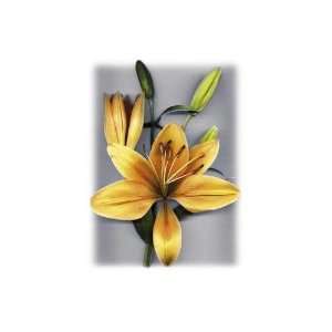  Yellow Lily Poster Print: Home & Kitchen