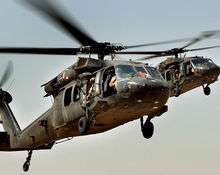   60 Black Hawk helicopters flown by the 101st Combat Aviation Brigade