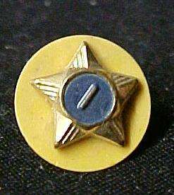 Vintage Cub Eagle Boy Scout Webelo Gold Blue Star 1 Pin  