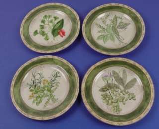 Set of 4 American Atelier BOUQUET GARNI Stoneware Salad Plates #5011 