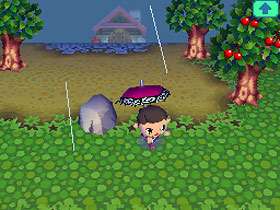 Nintendo DS Spiele   Animal Crossing   Wild World