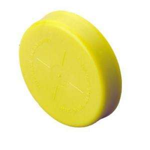CHERNE 5 in. PVC Pipe Cap 270776 at The Home Depot