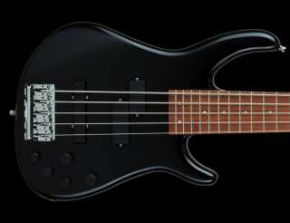 Fender Dimension 5 String Bass  