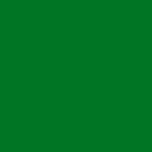  Ateco 10609 Forest Green Airbrush Color, 9 oz.