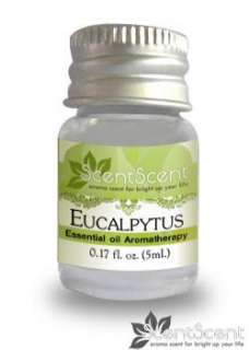 Eucalyptus Essential Fragrance Oil Aromatherapy 5ml.  