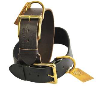 dean tyler leather dog collar b b new new new