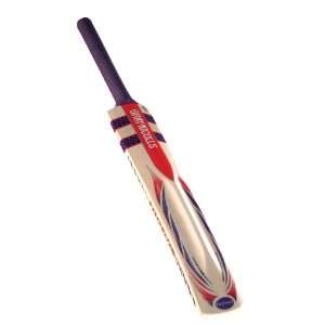GN Phoenix Titanium Cricket Bat, Long Handle:  Sports 