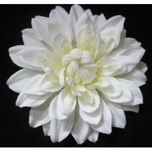  NEW 6 Inch White Dahlia Flower Hair Clip, Limited.: Beauty