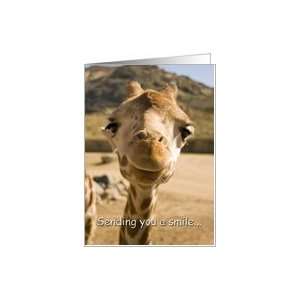  Smiling Young Giraffe   I miss you Card Health & Personal 
