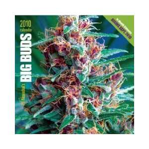  Ed Rosenthals Big Buds 2010 Marijuana Calendar [WALL 