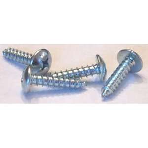 Self Tapping Screws Phillips / Truss Head / Type A / 18 8 