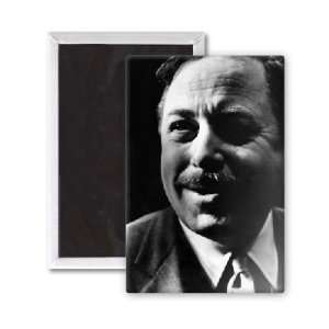  Tennessee Williams   3x2 inch Fridge Magnet   large 