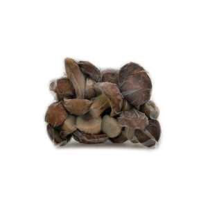 French Porcini Mushrooms   Frozen  Grocery & Gourmet Food