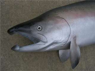 NEW! XL King Salmon fish Replica MOUNT BIG  45 inches!  