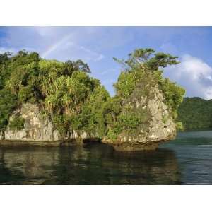  Rock Island with Trees in the Republic of Palau Stretched 