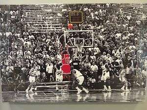 Chicago Bulls Michael Jordan Last Shot Canvas  