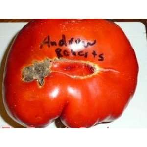    Andrew Raharts Jumbo Red tomato seed Patio, Lawn & Garden