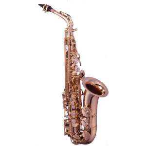  E.M. Winston 503GL Alto Saxophone Musical Instruments