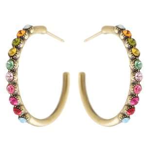   Lovely Hoop Earrings with Multicolor Swarovski Crystals Row: Jewelry